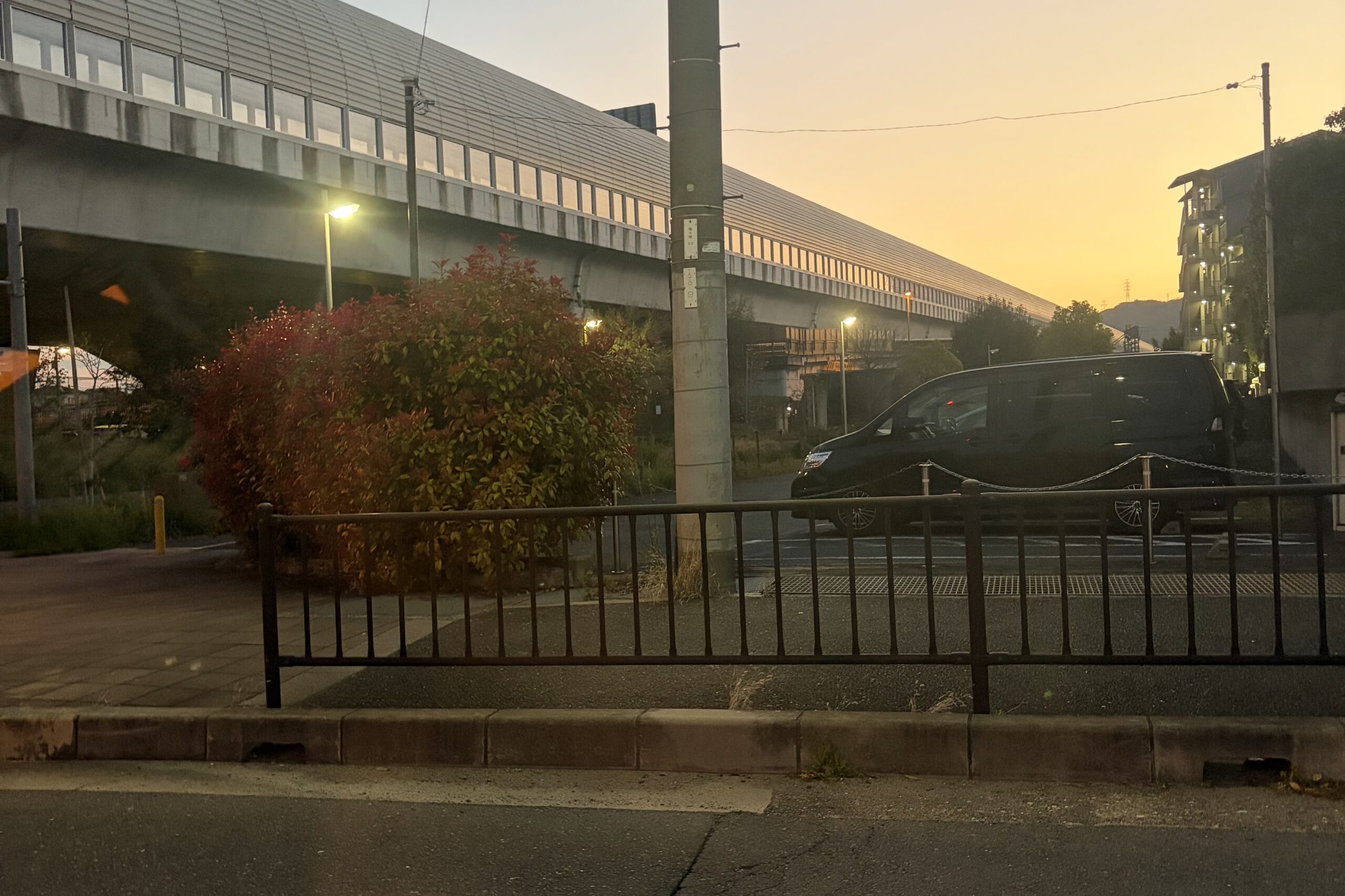 早朝の調査風景